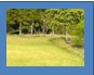 jardineria